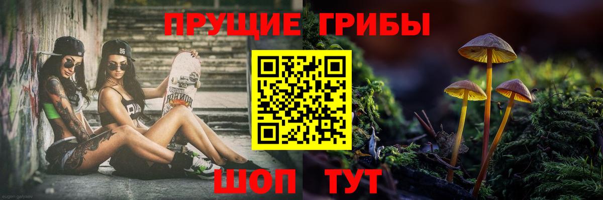 Псилоцибиновые грибы GOLDEN TEACHER  Вход с VPN  дарнет шоп  Изобильный 